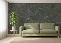Dark Charcoal Marble Vein Wall Mural
