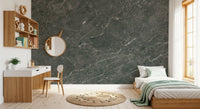 Dark Charcoal Marble Vein Wall Mural