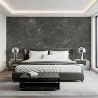 Dark Charcoal Marble Vein Wall Mural