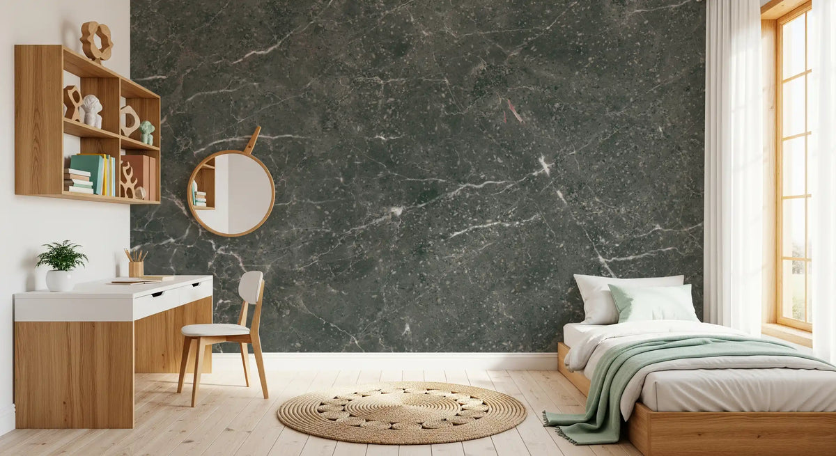 Charcoal Stone Vein Wall Mural