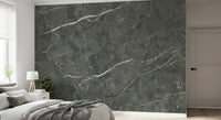 Charcoal Stone Vein Texture Wall Mural