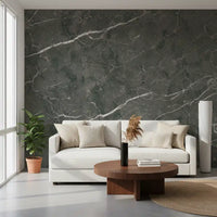 Charcoal Stone Vein Texture Wall Mural