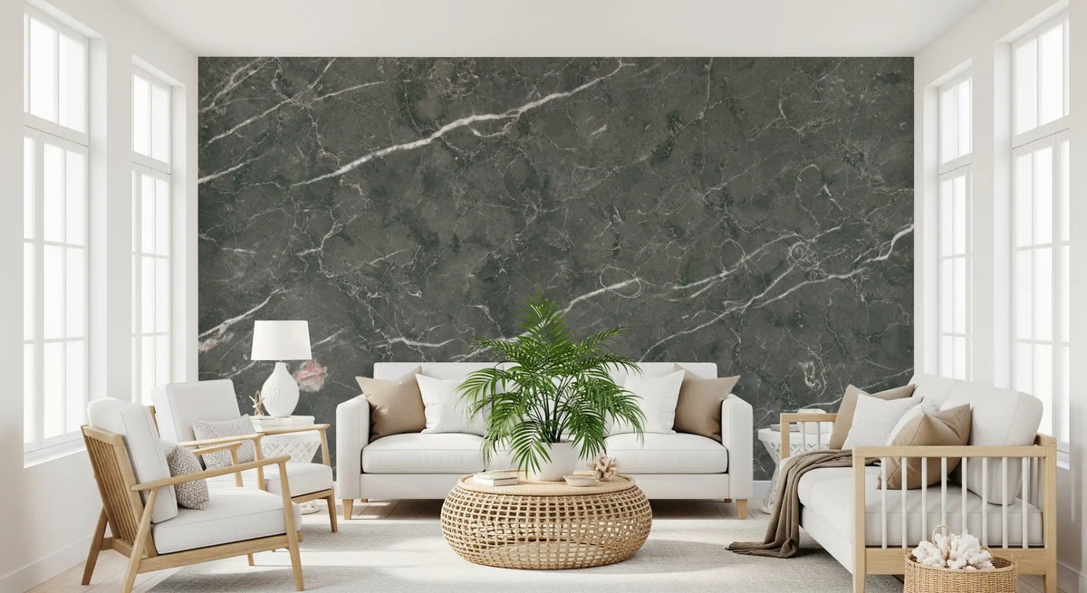 Charcoal Stone Vein Texture Wall Mural