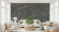Charcoal Stone Vein Texture Wall Mural