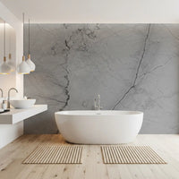 Monochrome Veined Stone Wall Mural