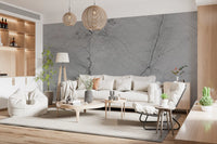 Monochrome Veined Stone Wall Mural