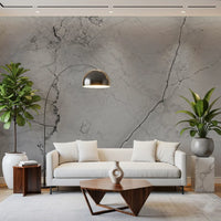 Monochrome Veined Stone Wall Mural