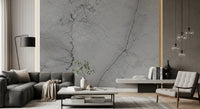 Monochrome Veined Stone Wall Mural