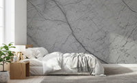Monochromatic Grey Veined Stone Wall Mural