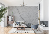 Monochromatic Grey Veined Stone Wall Mural