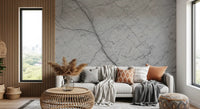 Monochromatic Grey Veined Stone Wall Mural