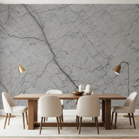 Monochromatic Grey Veined Stone Wall Mural