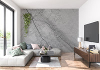 Monochromatic Grey Marble Vein Wall Mural