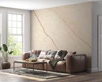 Cream Stone Veined Marble Wall Mural