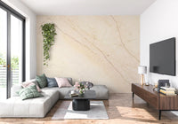 Creamy Marble Vein Texture Wall Mural