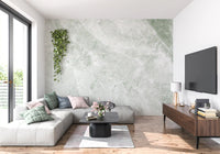 Sage Green Marble Vein Wall Mural