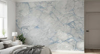Cool Grey Blue Marble Vein Wall Mural