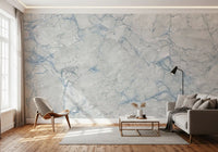Cool Grey Blue Marble Vein Wall Mural
