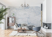 Cool Blue Marble Slab Texture Wall Mural