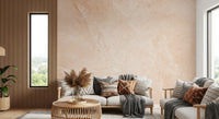 Soft Sandstone Marble Texture Wall Mural