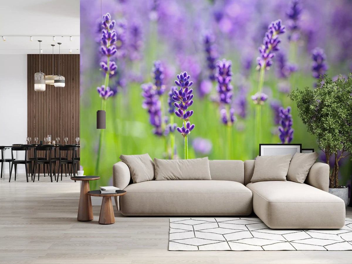 Abstract Floral Lavender Harmony Wall Mural
