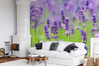 Abstract Floral Lavender Harmony Wall Mural