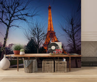 Architectural Twilight Parkscape Wall Mural