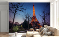 Architectural Twilight Parkscape Wall Mural
