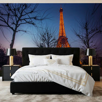 Architectural Twilight Parkscape Wall Mural