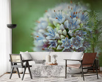 Abstract Spring Petal Cluster Wall Mural