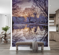 Golden Sunset Reflected in Still Woodland Waters Wall Mural