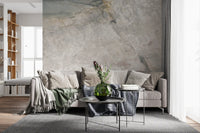 Natural Grey Marble Vein Surface Wall Mural
