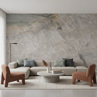 Natural Grey Marble Vein Surface Wall Mural