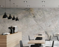 Natural Grey Marble Vein Surface Wall Mural