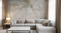 Natural Grey Marble Vein Surface Wall Mural