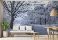 Snowy River Path Wall Mural