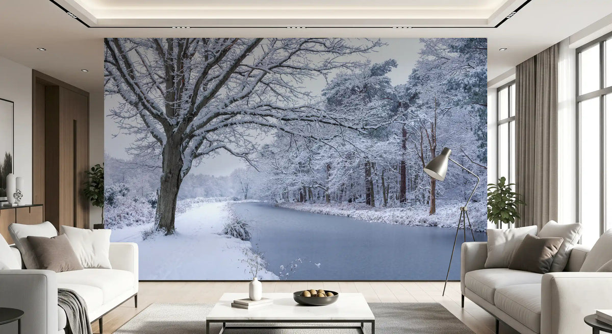 Snowy River Path Wall Mural