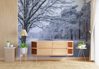 Snowy River Path Wall Mural