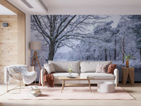 Snowy River Path Wall Mural