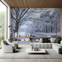 Snowy River Path Wall Mural