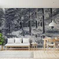 Monochrome Pine Forest Reflection Wall Mural