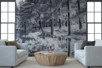 Monochrome Pine Forest Reflection Wall Mural