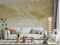 Golden Vein Natural Stone Texture Wall Mural