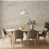 Natural Cream Marble Vein Wall Mural