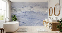 Azure Marble Vein Wall Mural