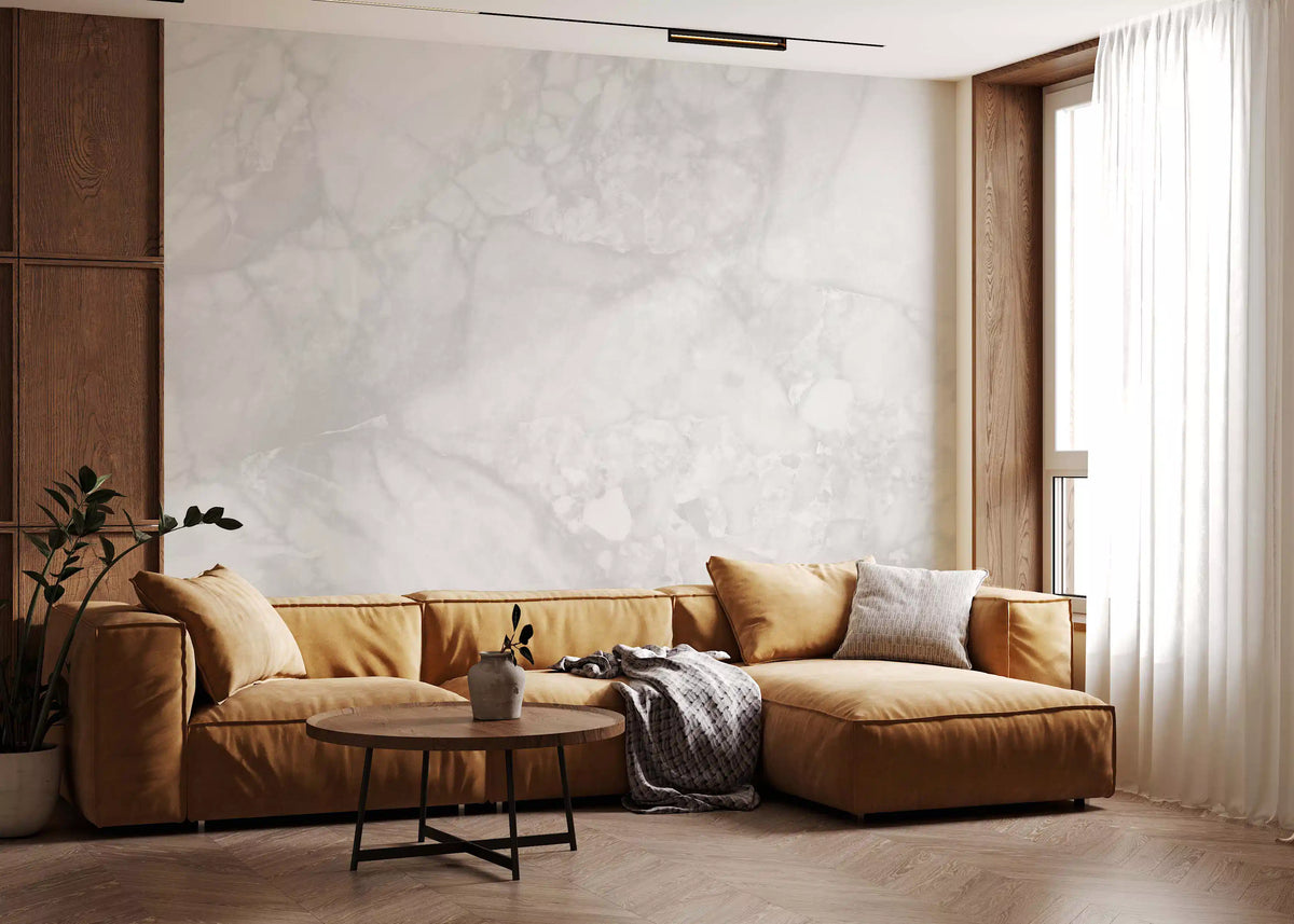 Monochrome Carrara Marble Texture Wall Mural