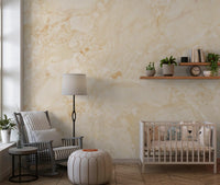 Cream Stone Texture Surface Wall Mural