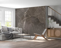 Smoky Quartz Marble Stone Texture Wall Mural
