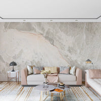 Neutral Stone Vein Texture Wall Mural