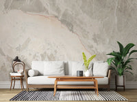 Neutral Stone Vein Texture Wall Mural